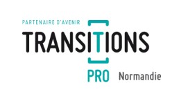 logo transition pro